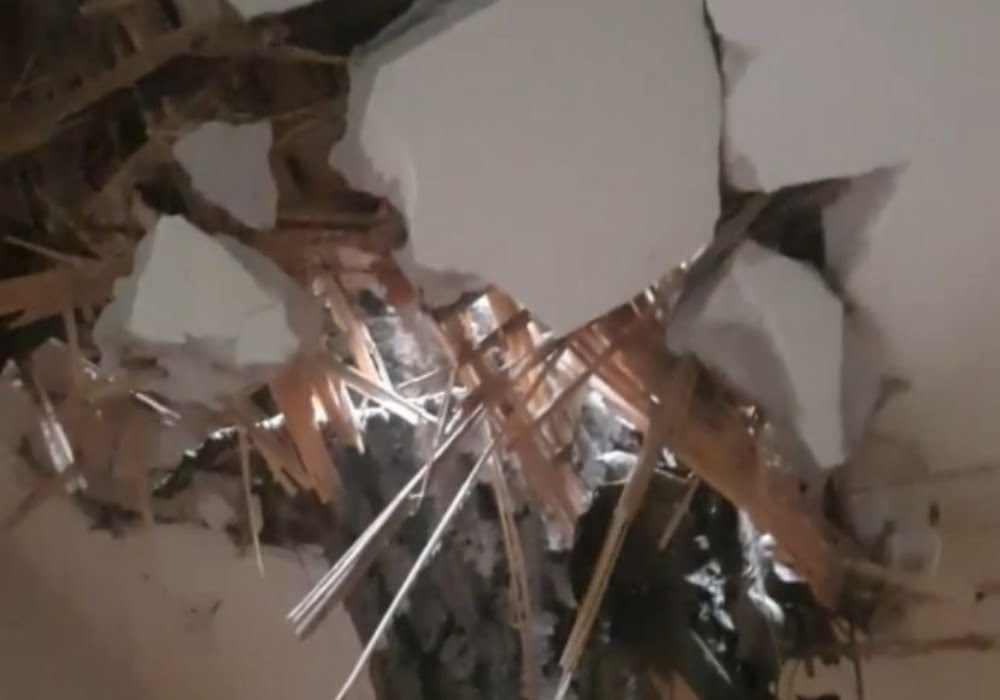 PRIZOR ZA NEPOVEROVATI: Beograđaninu drvo palo na kuću, izbegnuta tragedija