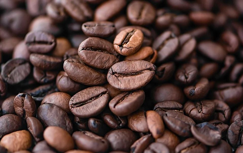 KAFA ĆE POSTATI LUKSUZ: Klimatske promene smanjuju površine na kojima se uzgaja kafa
