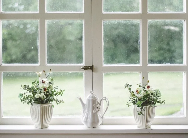 PRIZOVITE PROLEĆE: Biljke koje ulepšavaju prozor